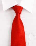 ��ǰ �̹���